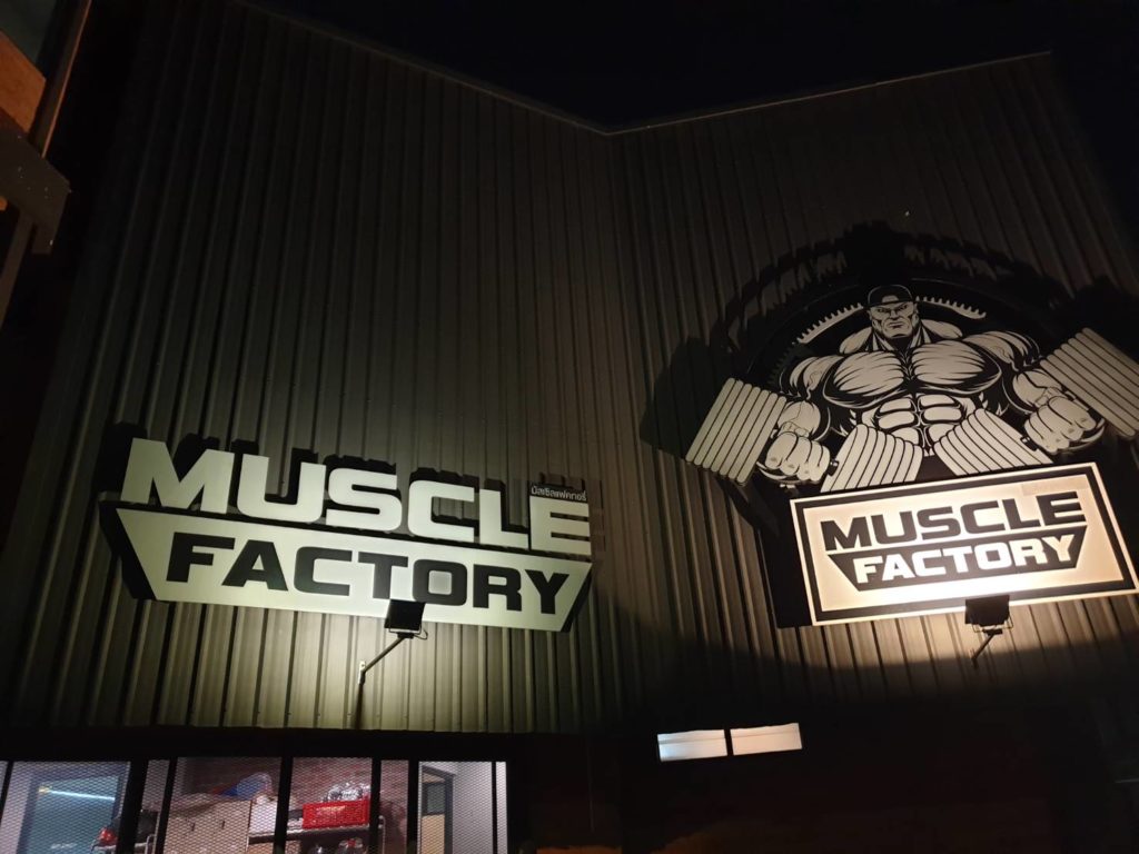 MUSCLE FACTRY